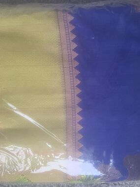 Blue and Gold Traditional Saree with Geometric Border